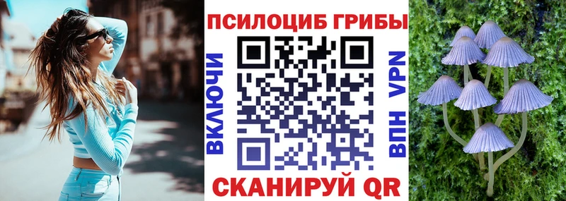Псилоцибиновые грибы Cubensis Камышлов