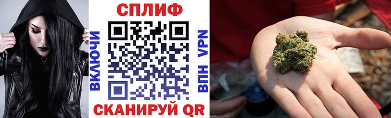 Купить где Камышлов Каннабис гибрид